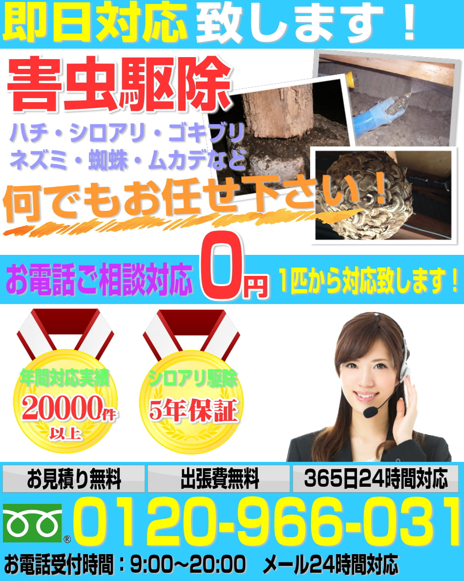 横浜市のシロアリ駆除なら1平米1200円より対応中！まずお気軽にお問い合わせ下さい！